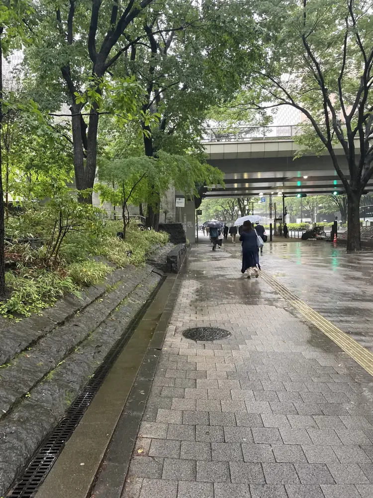 2026年5月1日の写真